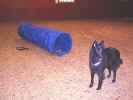 Thindra training agility in december 2005.